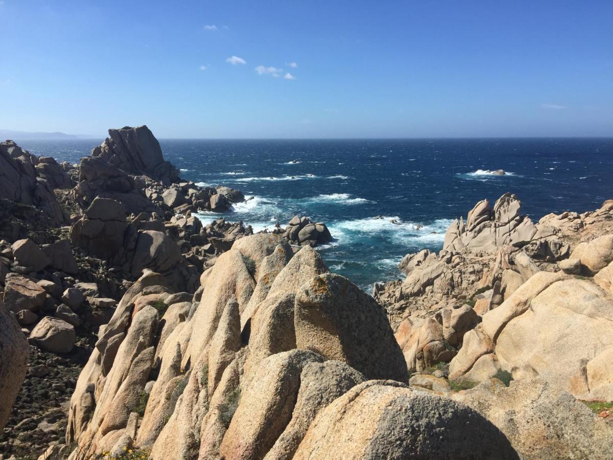 Carrabean Sea In The North Of Sardegna, With Swimming Pool Villa Viddalba Eksteriør billede