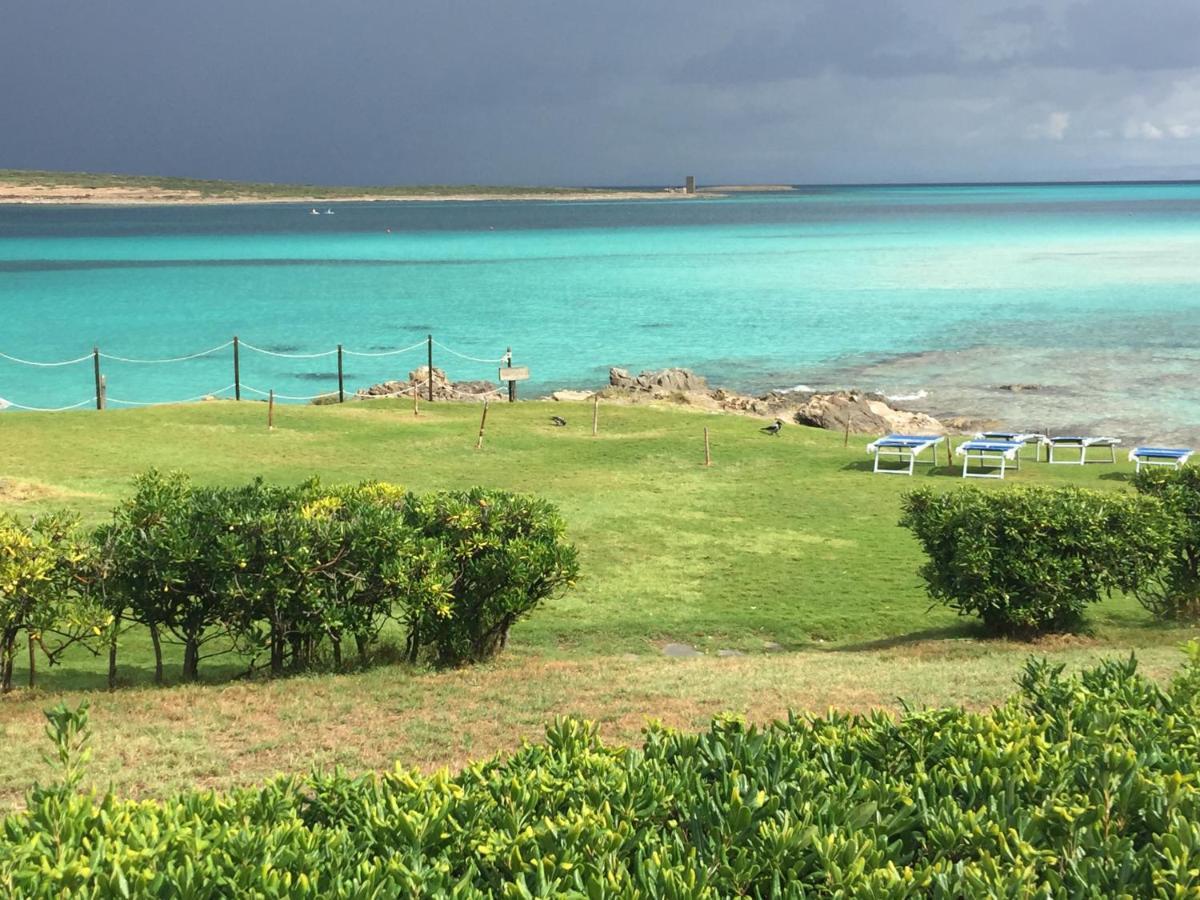 Carrabean Sea In The North Of Sardegna, With Swimming Pool Villa Viddalba Eksteriør billede