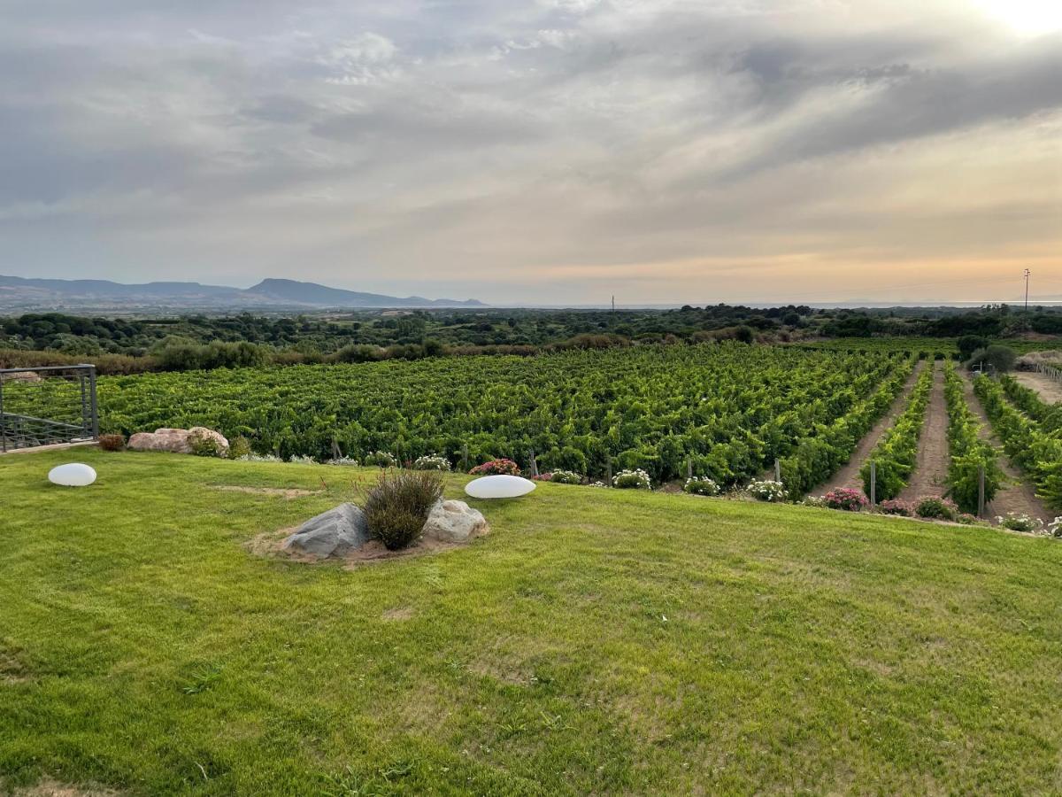 Carrabean Sea In The North Of Sardegna, With Swimming Pool Villa Viddalba Eksteriør billede