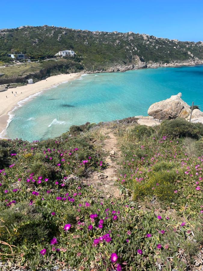 Carrabean Sea In The North Of Sardegna, With Swimming Pool Villa Viddalba Eksteriør billede